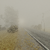 _images/GreatMarsh.png