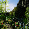 _images/SeasonalForestSpring.png