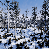 _images/SeasonalForestWinter.png